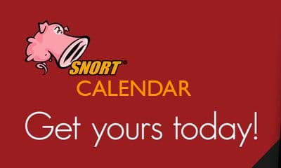 Free 2023 Cisco Snort Wall Calendar