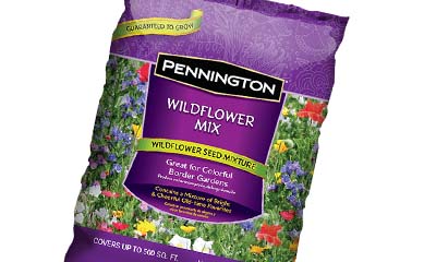 Free AirWick Wildflower Seeds