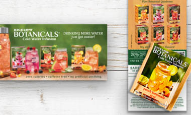 Free Bigelow Botanicals Cold Water Infusions Sample