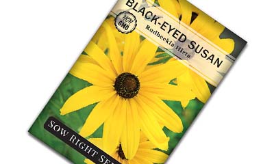 Free Black-Eyed Susan Seeds