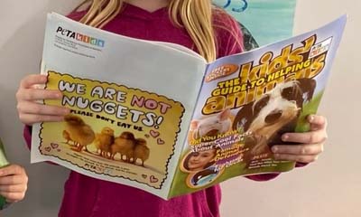 Free Peta Kids Guide to Helping Animals Magazine