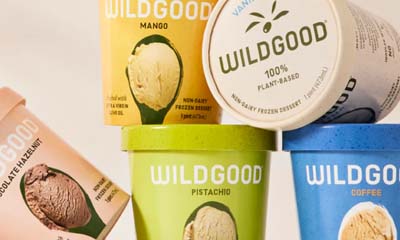 Free Wild Good Plant Based Ice Cream