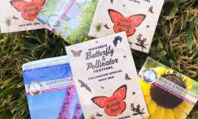 Free Wildflower Seeds from Zarbee's
