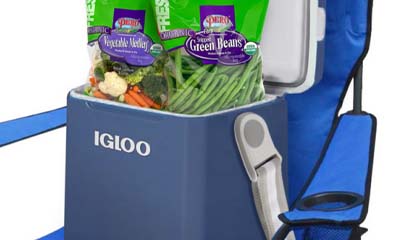 Free 11 Quart Tagalong Igloo Cooler