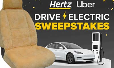 Free Premium Car Seat Covers