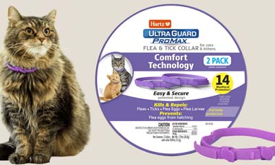 Free Promax Flea & Tick Cat Collars