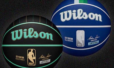 Free Wilson Basketballs