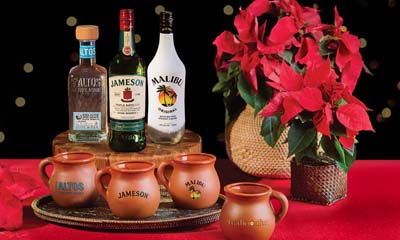 Free Set of 4 Jarritos Mugs